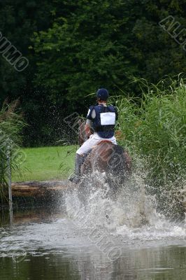 Horse water jump
