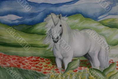 Pony unicorn