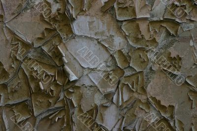 Aged wall texture