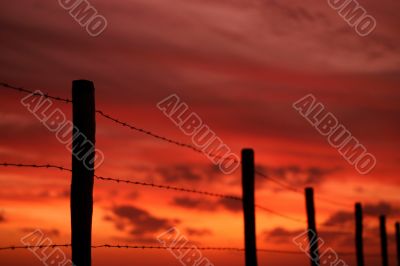 Barbwire fence