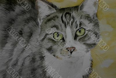 Sweet cat