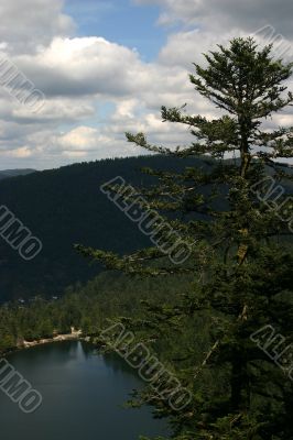 Lake from up high