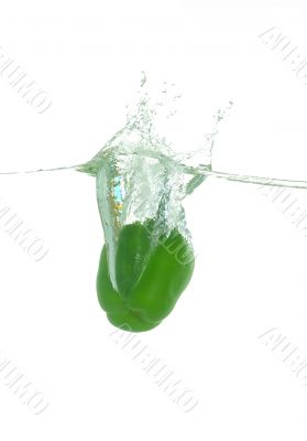 green pepper splash