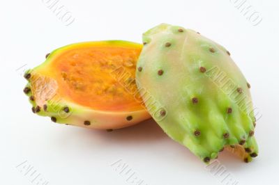 Ficus indica