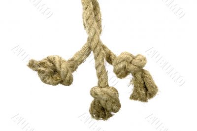 Variants of the rope with node