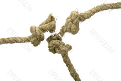 Variants of the rope with node