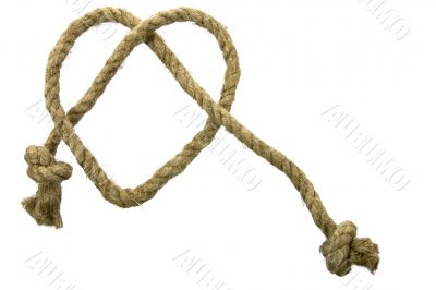 Variants of the rope with node