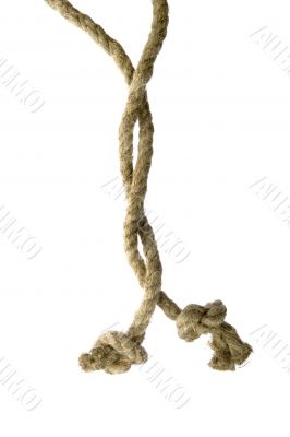 Variants of the rope with node