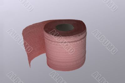 toilet paper
