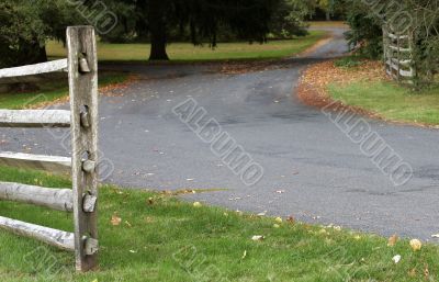 Along a Country Lane