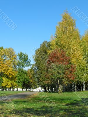 Autumn in the city
