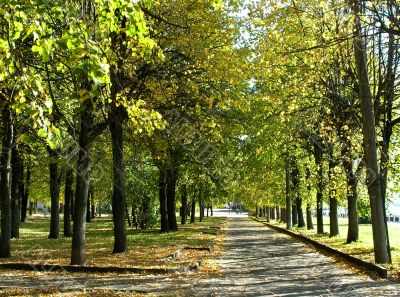Autumn in the city
