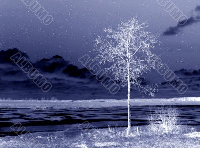 Abstraction landscape