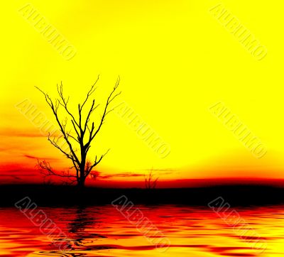 Yellow sunrise