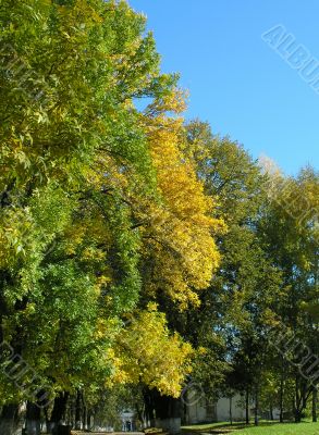 Autumn in the city