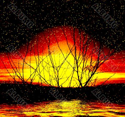 Sunset. Picture with trees