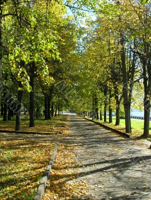 Autumn in the city