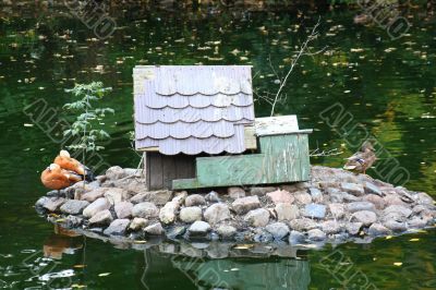 House for birds in water
