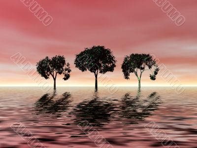 Pink sunset. Trees