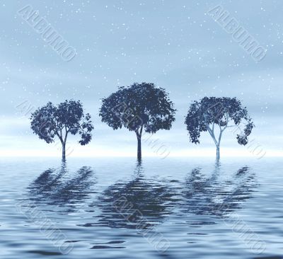 Winter. Trees