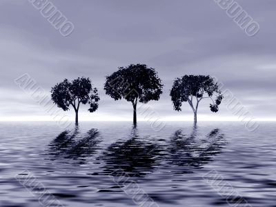 Trees