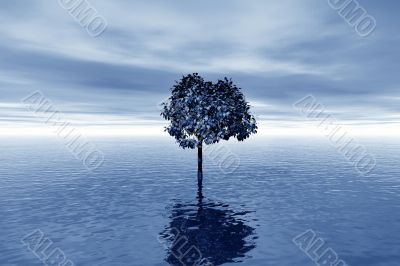 Lonely tree