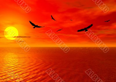 Sunset