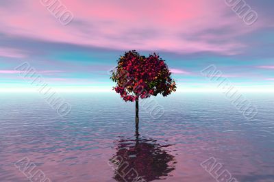 Lonely tree
