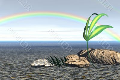 Rainbow in desert