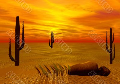 Sunset in desert