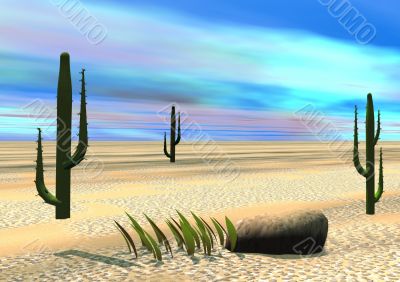 Desert
