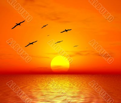 Sunset