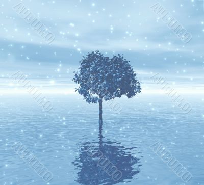 Winter. Lonely tree