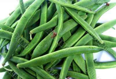 Harvest -green beans