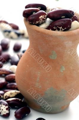 haricot at terracotta jug