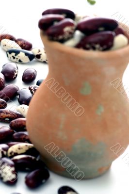 haricot at terracotta jug