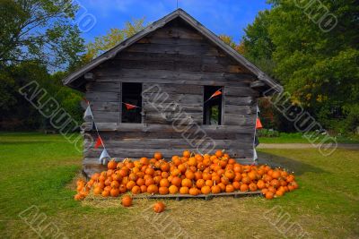 Pumpkins