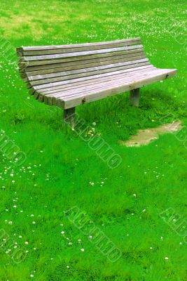 Park Bench