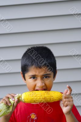 Eating Corn