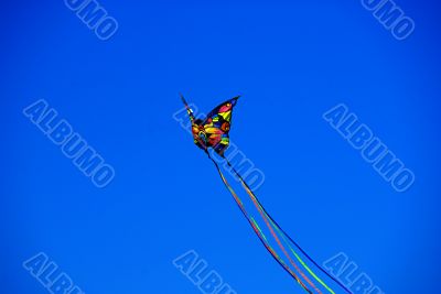 Butterfly Kite