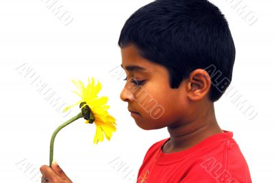 Smelling