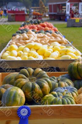 Harvest