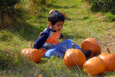Pumpkins