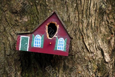 Bird House