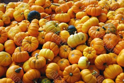 Pumpkins