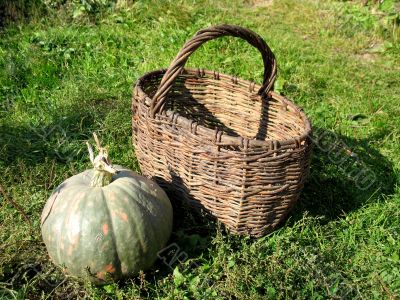 Brown Basket and Pumpkin