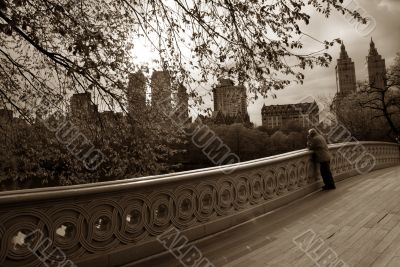 Central Park, New York