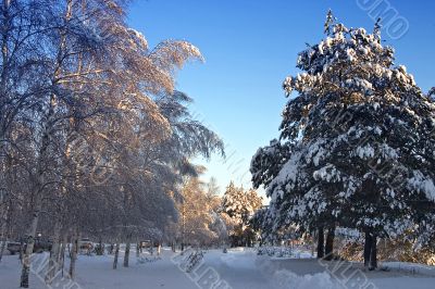 in winter