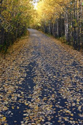 autumn season