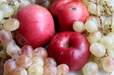 Autumnal harvest
